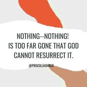 Meet your Posher, Chrys